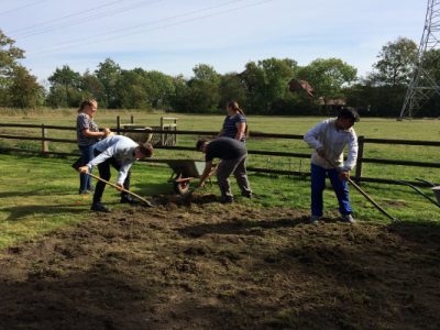 Müller1900: Der zweite harte Tag – Arbeit auf dem Feld