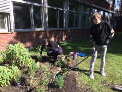 Garten- und Landschaftsbau ganz praktisch